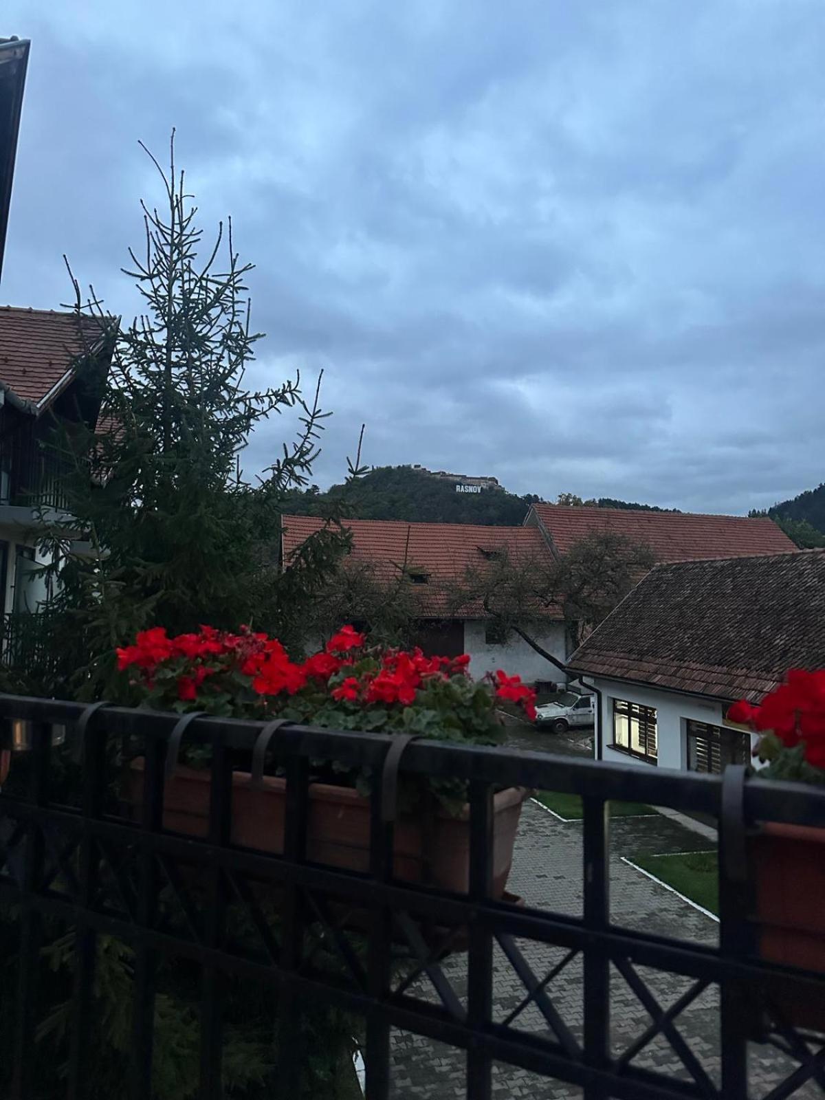 Pensiunea Casa Saxonia Rîşnov المظهر الخارجي الصورة