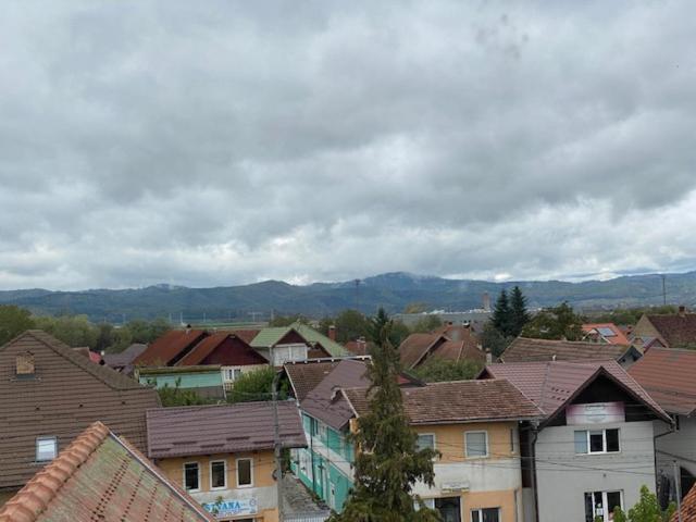 Pensiunea Casa Saxonia Rîşnov المظهر الخارجي الصورة