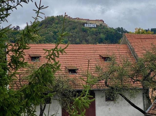 Pensiunea Casa Saxonia Rîşnov المظهر الخارجي الصورة