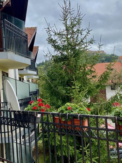 Pensiunea Casa Saxonia Rîşnov المظهر الخارجي الصورة